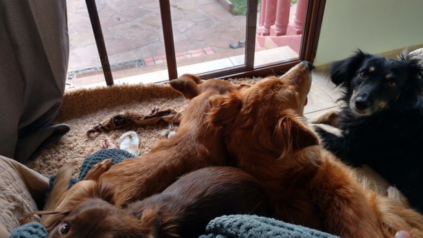 ‘Mad’ Max: From Being Eaten Alive, To Loving His&nbsp;Life